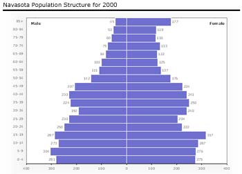 Navasota Population Structure for 2000